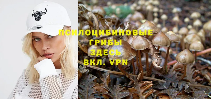 Галлюциногенные грибы Magic Shrooms Ак-Довурак